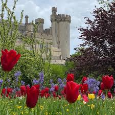 arundel castle toovey s