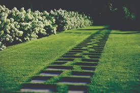 10 garden path ideas to elevate your