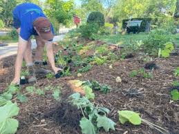 Fall A Great Time For Native Planting