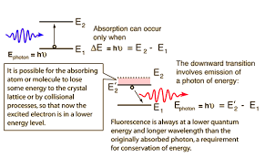 Quantum Processes