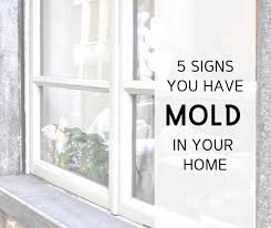 5 signs you have mold in your home