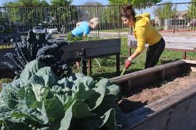 Community Gardens To Fulfill Your