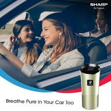 Máy Lọc Không Khí Khử Mùi Trên Ô Tô Sharp - Nếu xe hơi của gia đình bạn có  vẻ sạch sẽ từ bên ngoài nhưng vẫn có một mùi hôi bất