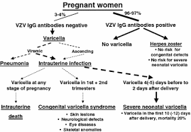 varicella zoster virus infections