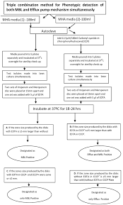 Protocol And Interpretation Guidelines In Flow Chart Format