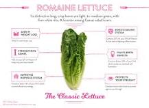 What is one heart of romaine lettuce?