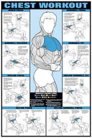 Details About Chest Workout Wall Chart Professional Bodybuilding Fitness Gym Poster