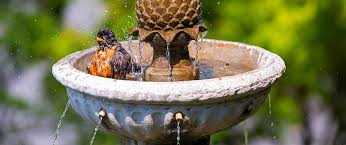 Price match guarantee + free shipping on eligible orders. Choosing The Best Materials For Your Outdoor Water Fountain Alive Outside Landscaping Blog
