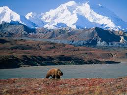 The entire unit is now bigger than the state of massachusetts. Spectacular Glaciers Denali Alaska Rail Adventure