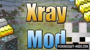 Once you have that up and running, go. Xray Mod Wallhack Texture Pack For Minecraft 1 17 1 1 16 5 Pc Java Mods