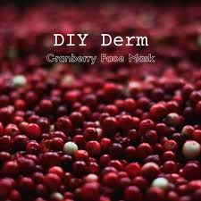 diy derm cranberry skincare face mask