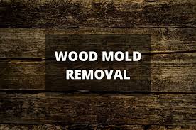 how to get rid of black mold on wood