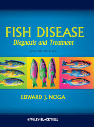 Fish Disease Diagnosis And Treatment Edward J Noga