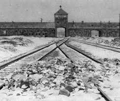 Der punkt den ich setze, ist vielleicht der letzte du denkst. The Holocaust An Introduction Part 2 Online Course