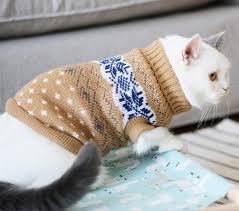 Indeed, a female dog gives off very powerful pheromones which help. Evursua Cat Clothes Sweater For Kitten Small Dogs Fit Pet Male Female Cats Winter Knit Clothing
