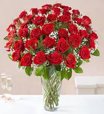 red roses jamaica plain florist
