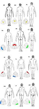 Whats Your Body Type Somatotype Personality Type