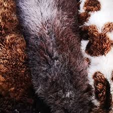 vegetarian sheepskin rugs darach