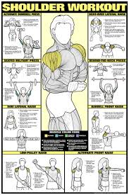 Shoulder Workout Poster Laminated Workout Weight