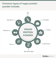 best vegan protein powders 2022
