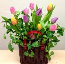 Search ridgefield, ct real estate and mls listings. About Us Main Street Florist Gift Ridgefield Ct