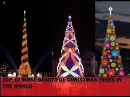 Traditional christmas trees are evergreens, which means they keep their bright, green leaves in the winter, unlike other trees. Top 10 Most Beautiful Christmas Trees In The World Youtube