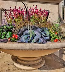 How To Grow A Flower Container Garden