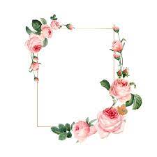 pink flower frame images free