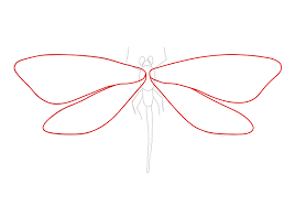 how to draw dragonflies design