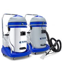 professional carpet cleaner for