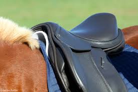 5 english saddle fit mistakes horse