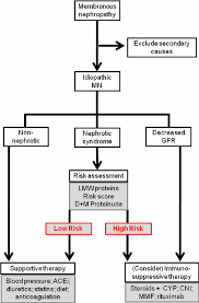 Flow Chart Strategy For The Management Of Patients With Mn
