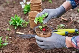 Lend And Tend Garden Sharing Scheme