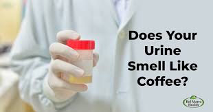 why your urine smells like coffee and