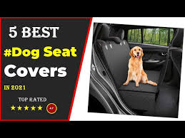 Best Dog Seat Cover For Car 2021 With