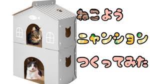 猫にニトリのニャンション作ってみた！〜I made an apartment for a cat!〜 - YouTube