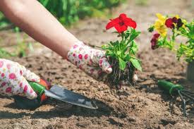 The Best Gardening Tool Sets In 2023