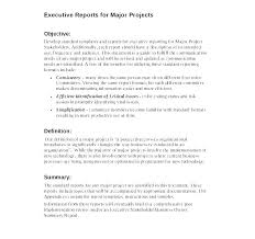 Technical Rt Executive Summary Example Template Sample