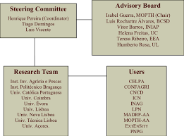 Organizational Chart Of The Portugal Assessment Download