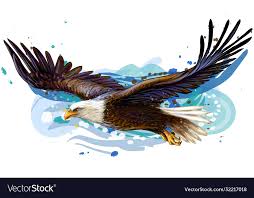 Soaring bald eagle color realistic portrait Vector Image