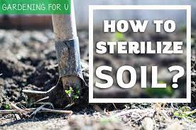 How To Sterilize Soil 5 Amazing Ways