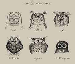 Caffeinated Owls A Chart Illustrating Different Types Of