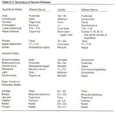 Chapter 8 Clinical Disorders And The Sensory System Complex