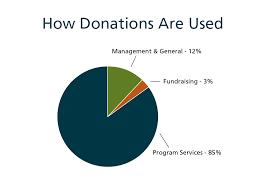 Donation Pie Chart Mntc
