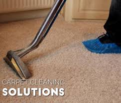 steamboat carpet cleaning reviews