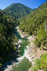 Image result for salmon river tributaries