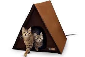 Best Outdoor Cat House Designs Furry
