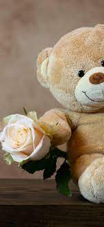 teddy bear wallpaper 4k rose cute toy
