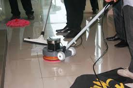 top carpet cleaning services in old