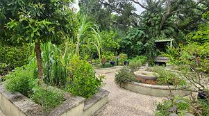 Mounts Botanical Garden Of Palm Beach